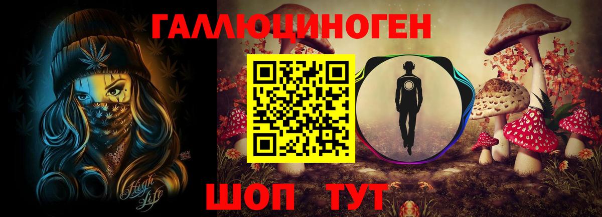 Галлюциногенные грибы Psilocybe Красногорск
